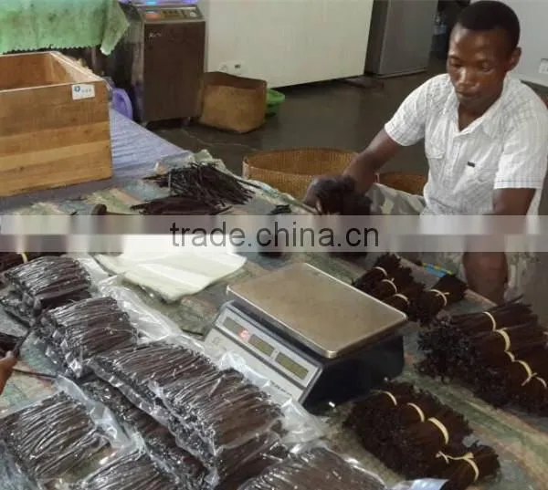 Madagascar Bulk Vanilla Beans,Madagascar Bulk Vanilla Beans