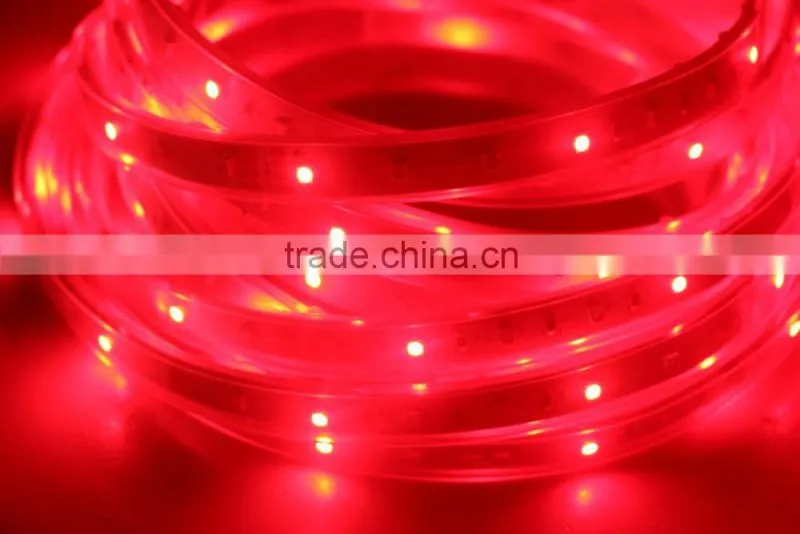 5M 300 leds 60leds/m 12V SMD 3528 RGB LED Strip light flexible band with 24/44 Keys IR Remote control +3A Power Supply