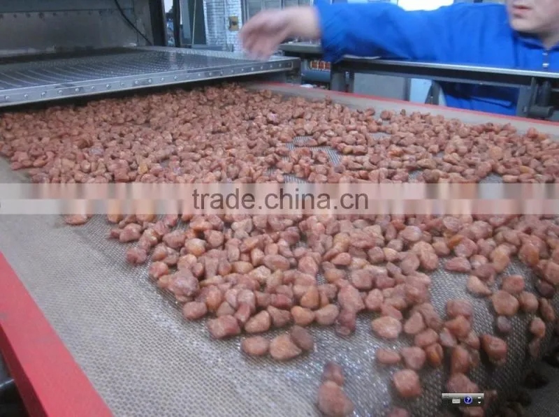 tunnel type industrial micrwave red chili drying sterilizing machine/sterlizer