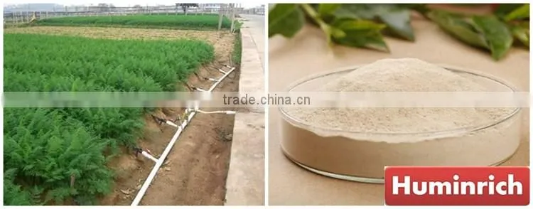 FAQ 14--Huminrich Compound Amino Acid Fertilizer For Vegetables