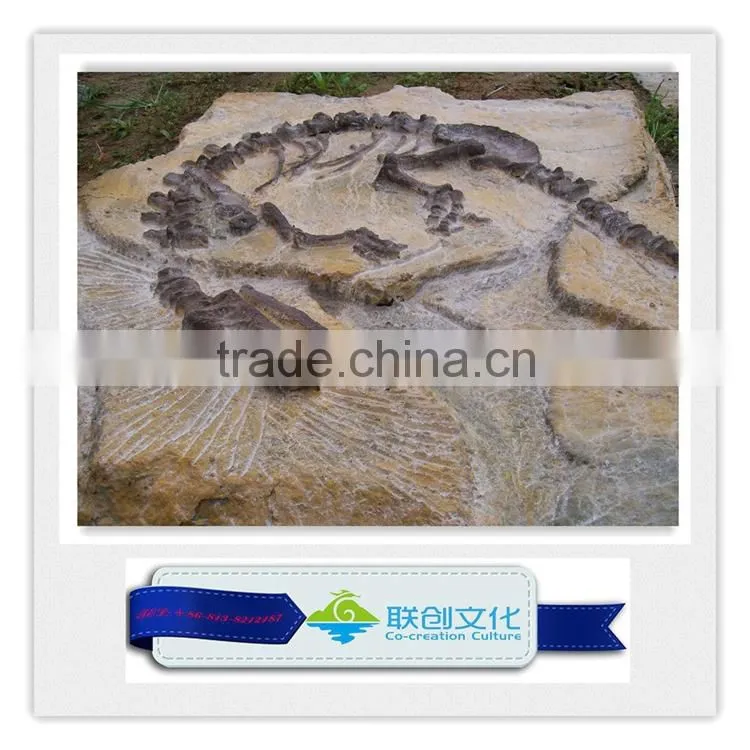 Make dinosaur bones manufacturer in China