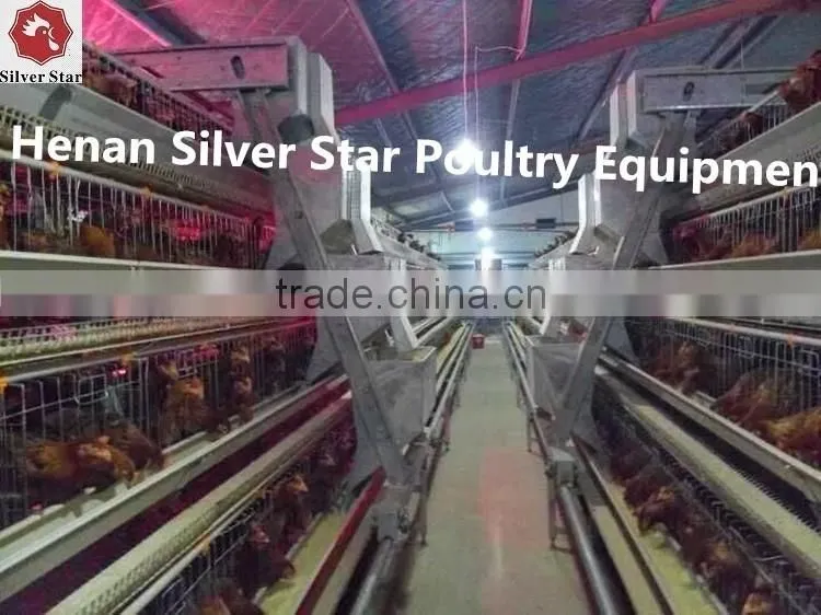 Automatic egg collecting machine for chicken layer house shed