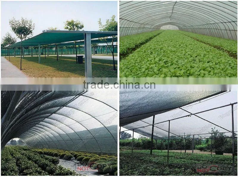 Agriculture Farm Hdpe Greenhouse Shade Netting , 30%-90% Shade Rate