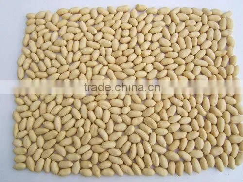 shandong hot sale raw peanuts for sale