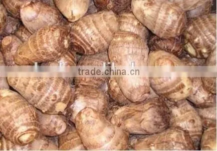 Chinese dried taro with taro root plant photos