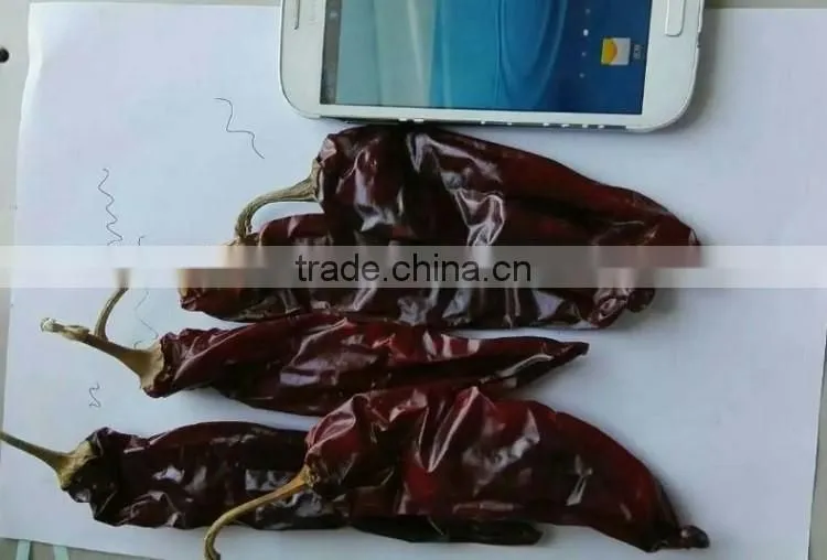 10 -15cm Sweet Dried Red Chili Paprika