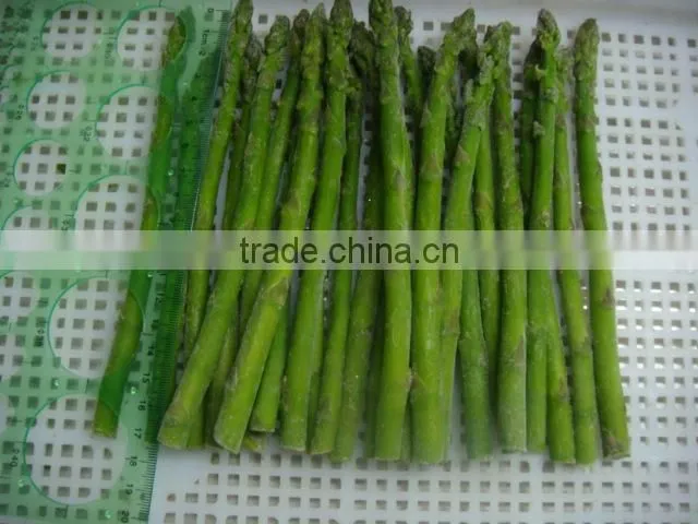 Top quality Frozen green asparagus for 1 kg packed per carton