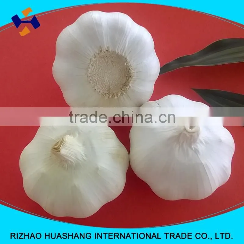 good quality pure white fresh garlic size6.0cm