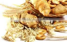 manufacturer bread oven, electrical oven, gas oven , Tunnel Oven/Baking Oven/Bakery Equipment
