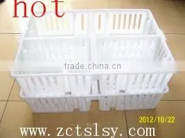 the Hot quality the High utilization Rate of poultry Transport Box for chicken and duck
