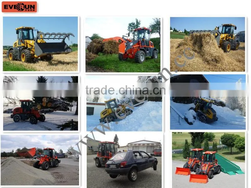 Everun ER06 hydrostatic driving 600KG loading capacity mini Loader/Hoflader