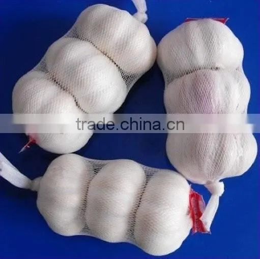 Mashed garlic machine/Garlic grinding machine