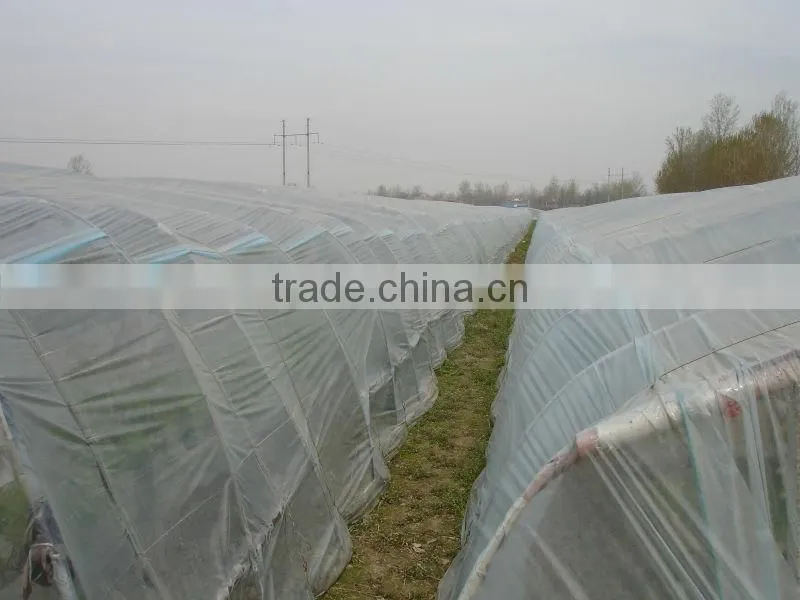 UV protect anti fog Transparent Coextruded PE Cover Film PE mulch film for grape greenhouse