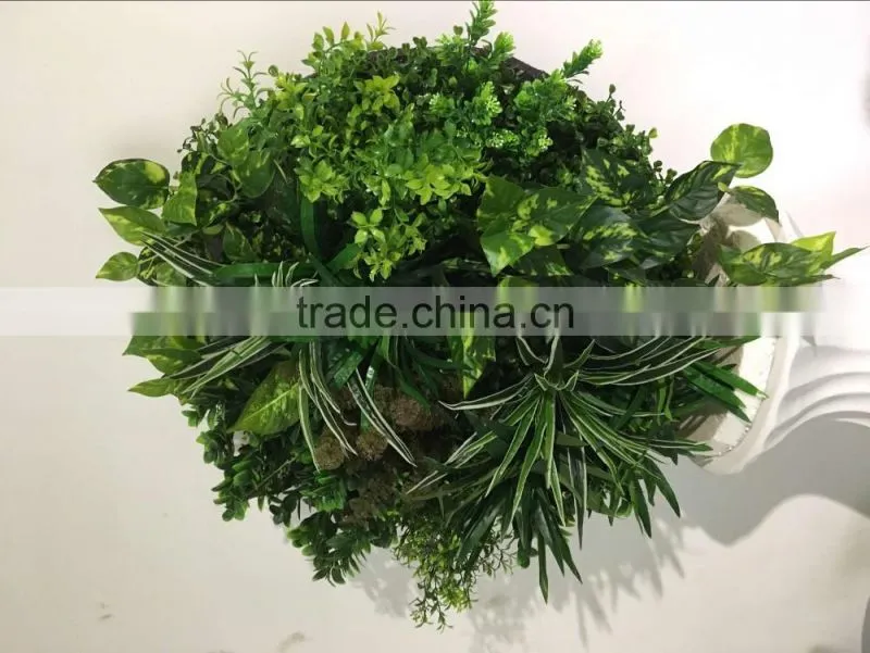 Factory price wall hanging plants