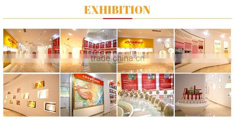New products on china market chinese flavor hot dried noodles