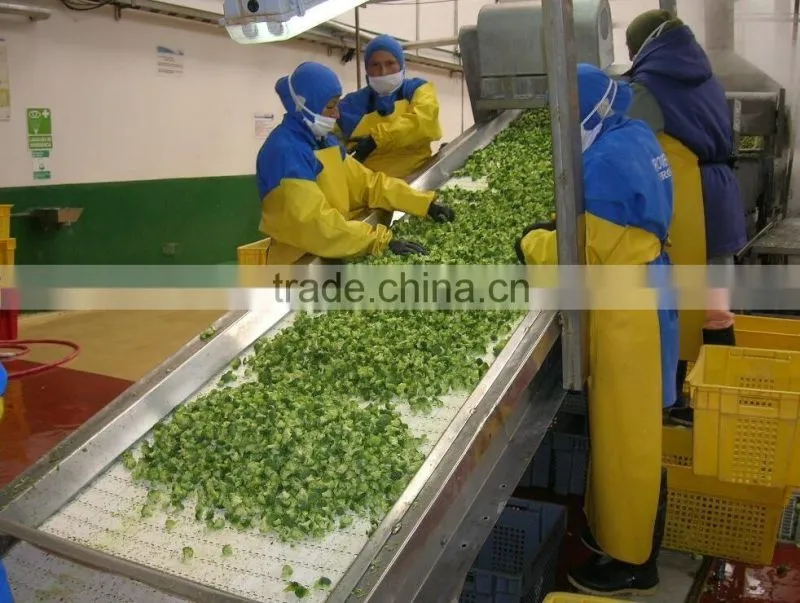 Food Grade Belt Conveyor Used For Food Industry