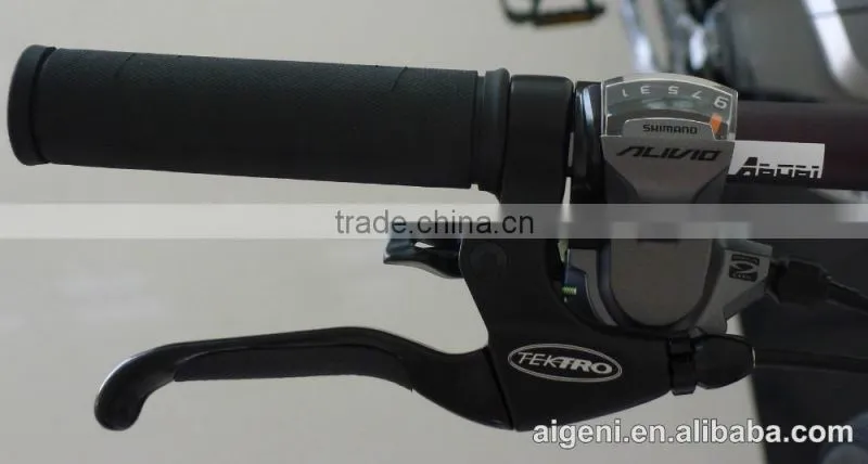 Trendy design electric bicycle mountain bike