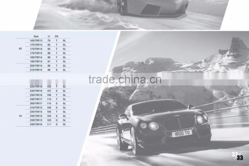durun tires d2009 winter tire