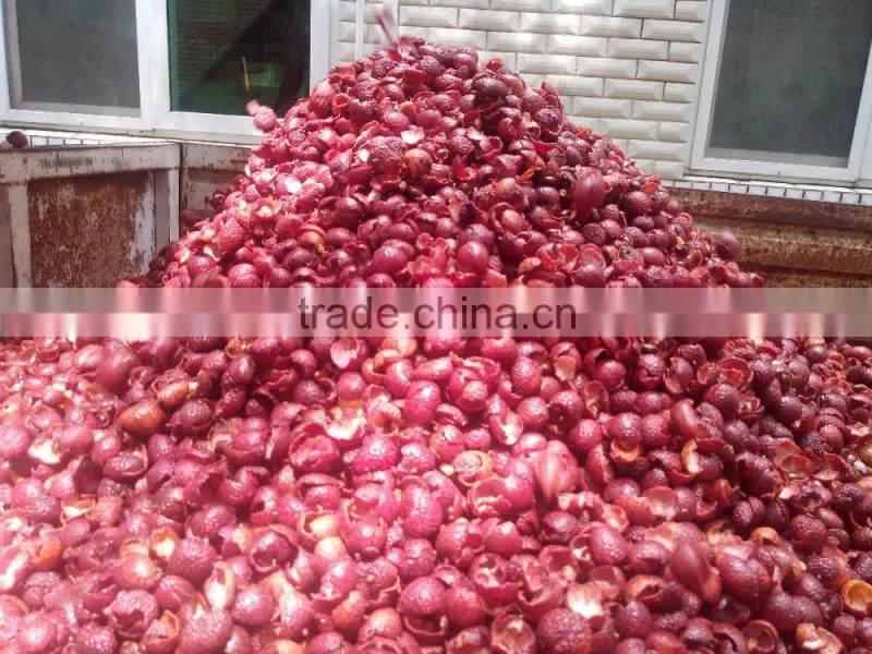 Litchi (longan/ rambutan) Sheller