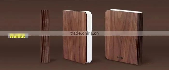 Mini Version LED WOODY Book Lamp