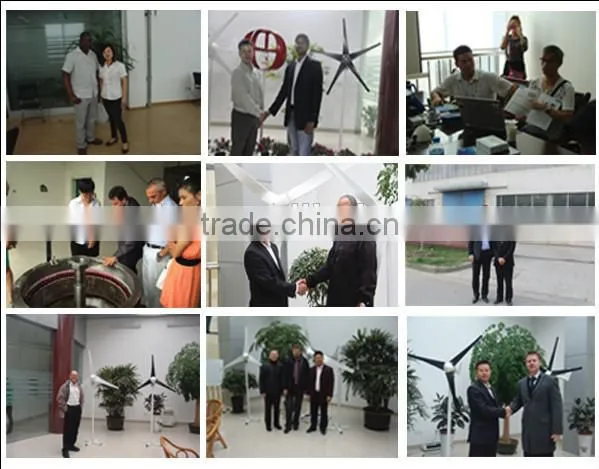 low rpm 1kw wind turbine for homes