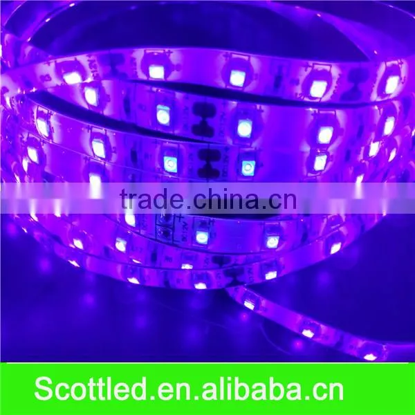 Chines factory supply DC12V 30LEDS/M LED strip light led UV strip.led flexible light SMD5050