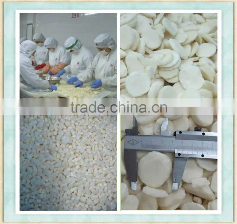 Frozen Water Chestnuts wholesale