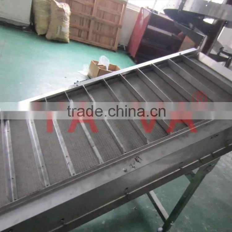 Stainless steel belt conveyor system for packing industry