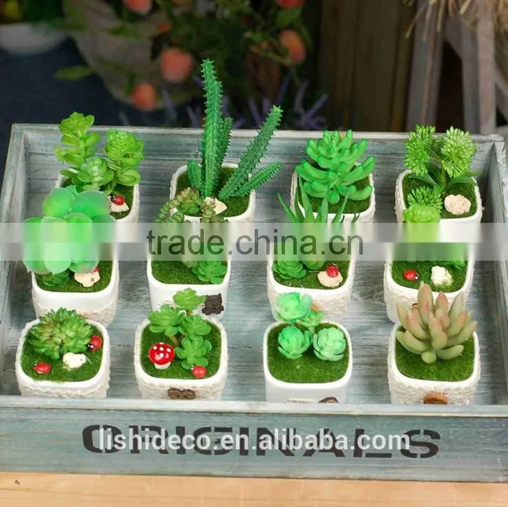 Home Garden Decoration Artificial Succulent Pots Wholesale Bonsai Pot