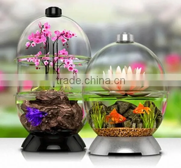 Good lucid fashionable high quality acrylic fish tank factory wholesale