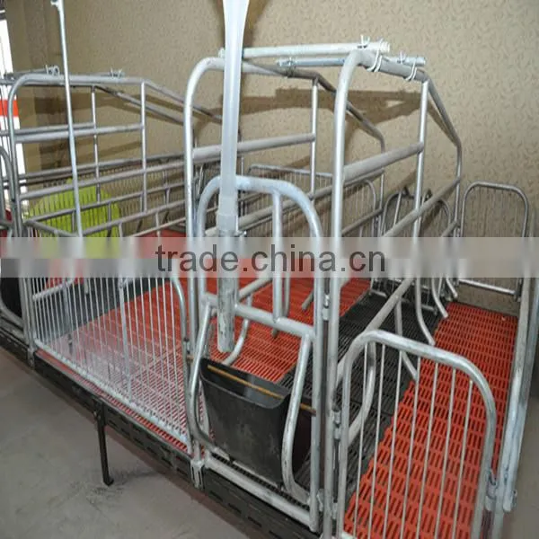 new typeComplete controlled Poultry Equipment for Pig Raising