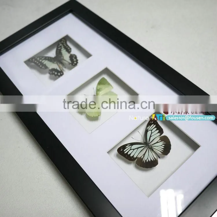FOUSEN(023) Nature& Art framed natual real dried butterfly art set