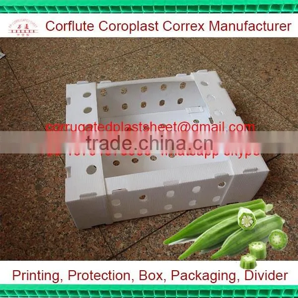 cheap pp plastic okra package box