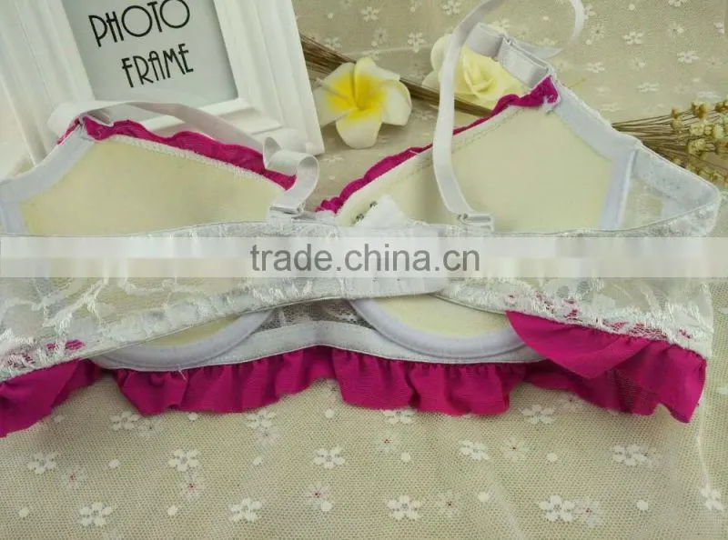 New Design wholesale Women Sexy Lace Underwears Bra Sets