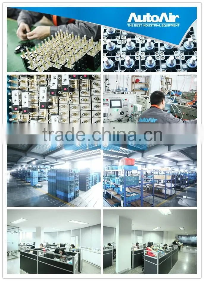 2S250-25 directional control valve ,diverter valve pneumatic