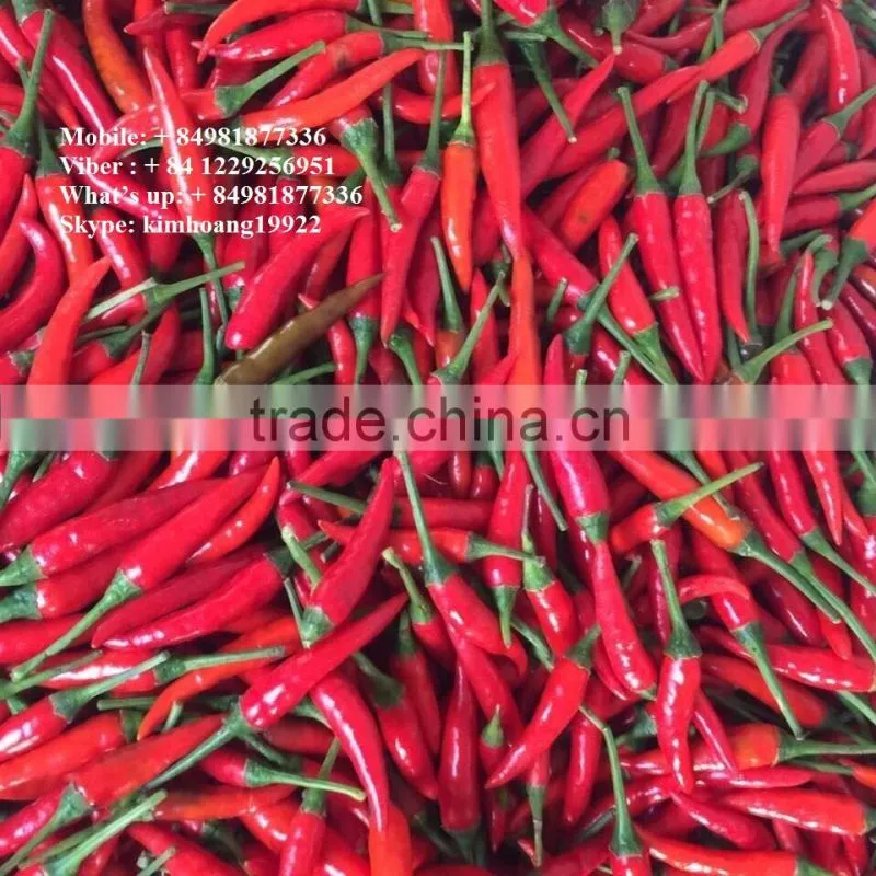 chili Peppers