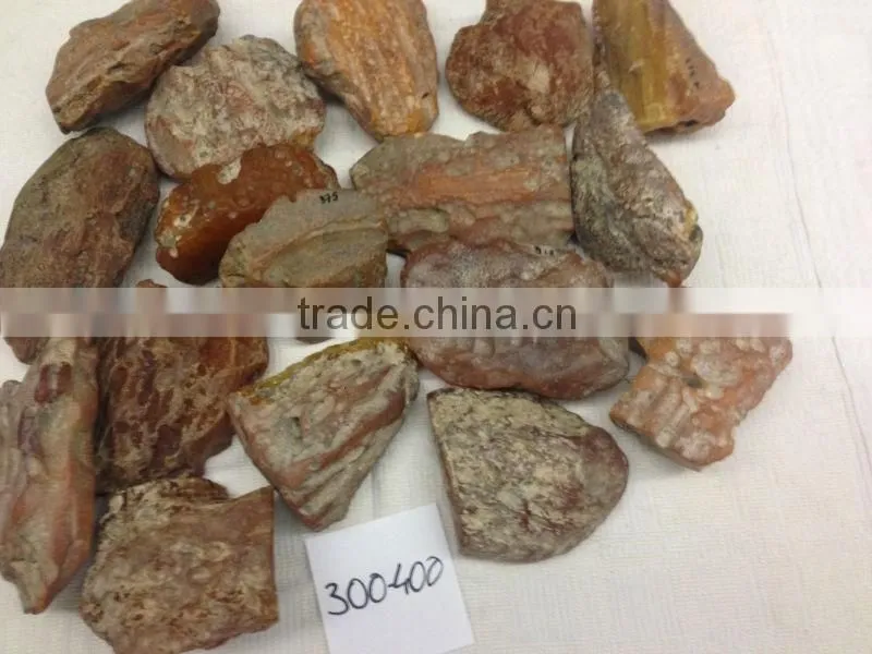 Ukraine Amber