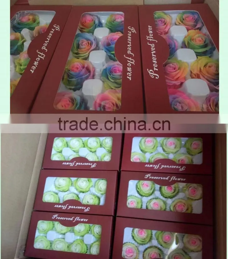 Multicolor Preserved Rose Rainbow Roses Real Touch Preserved Rose