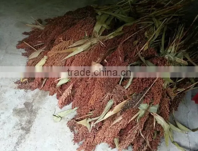 2014 hot sale sorghum bicolor thresher