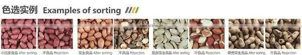 CMEC Peanut Color Sorter