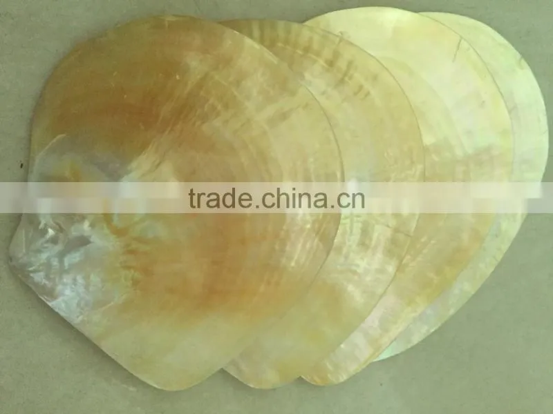 Best quality mother of pearl raw shell inlay