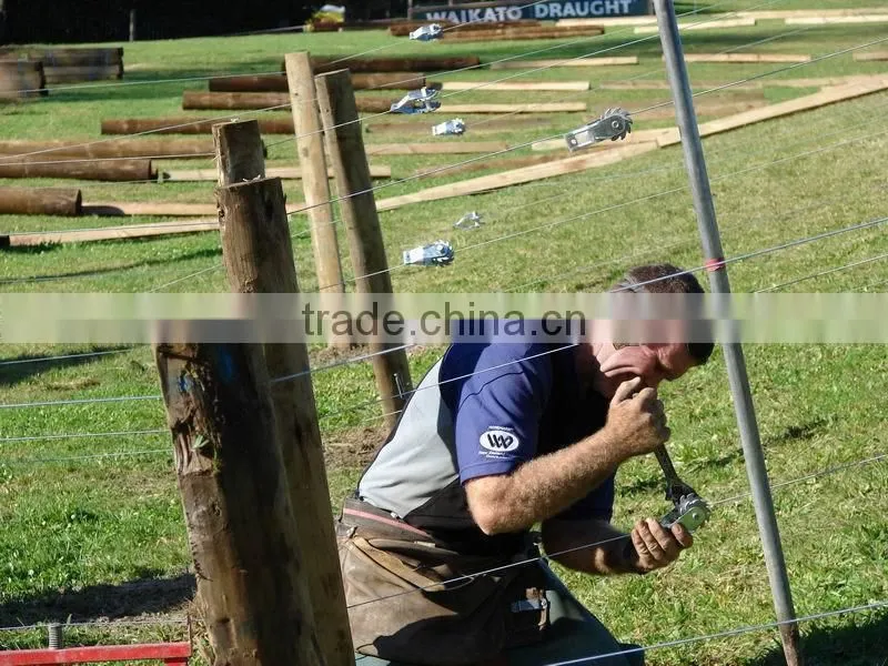 Electric Fence