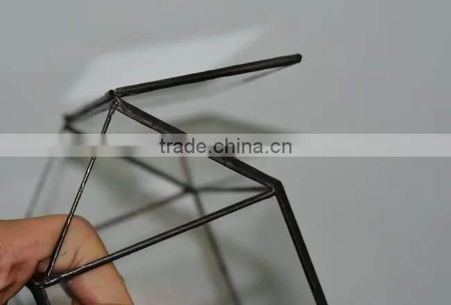 Micro landscape glass cover indoor plant glass terrarium