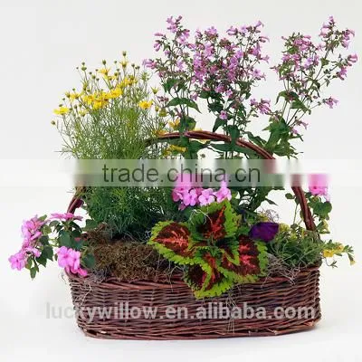 Attractive garden flower basket/willow flower Decoration basket