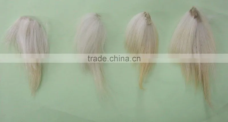 horse tail hairs