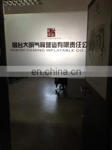 Yantai Daming Inflatable Co., Ltd. company overview - view 2