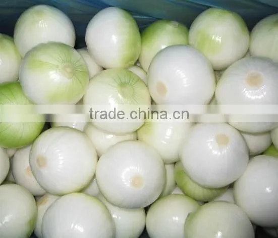 Electric Fresh Onion Skin Peeling Machine|Commercial Onion Peel Removing Machine
