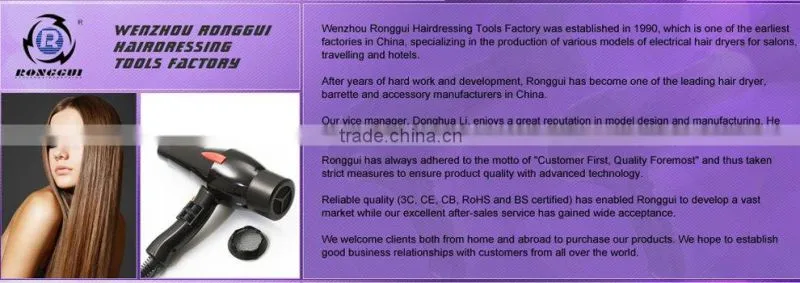 professional no noise salon standing hair dryer with AC/DC motor