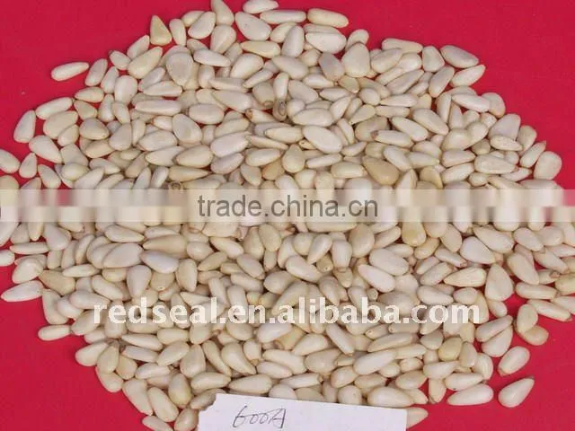 Chinese Pine nuts kernels or pignoli