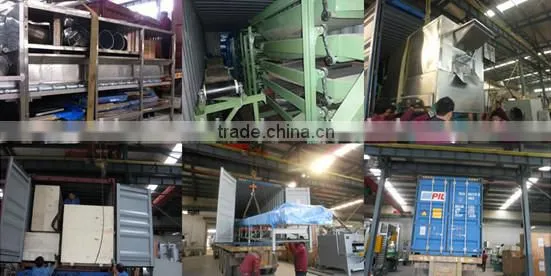 Good Performance Unique Design Compact Structure Commercial Peanut Gas Fryer